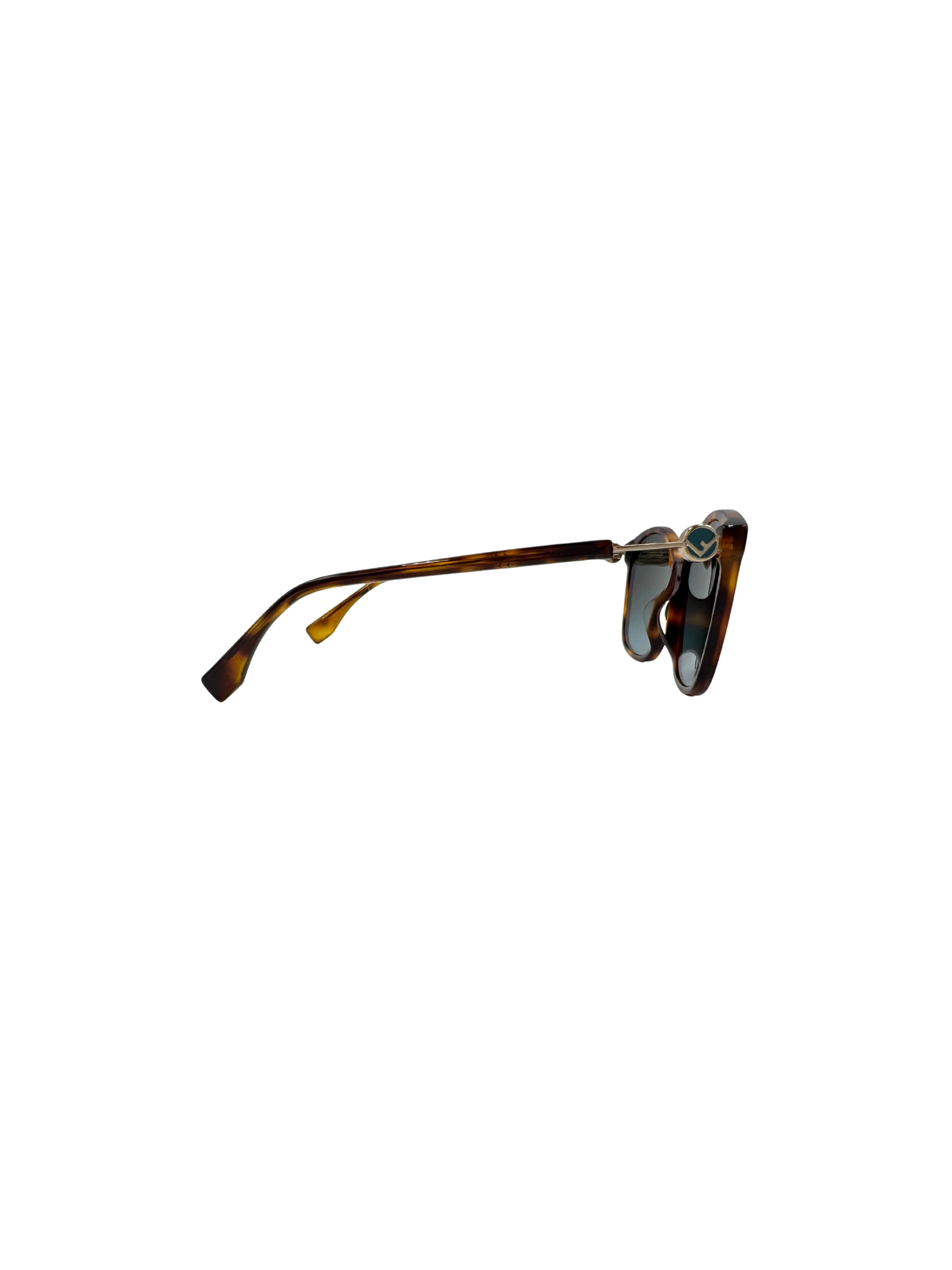 Oversized Logo Sunglasses in Brown Tortoise Acetate
