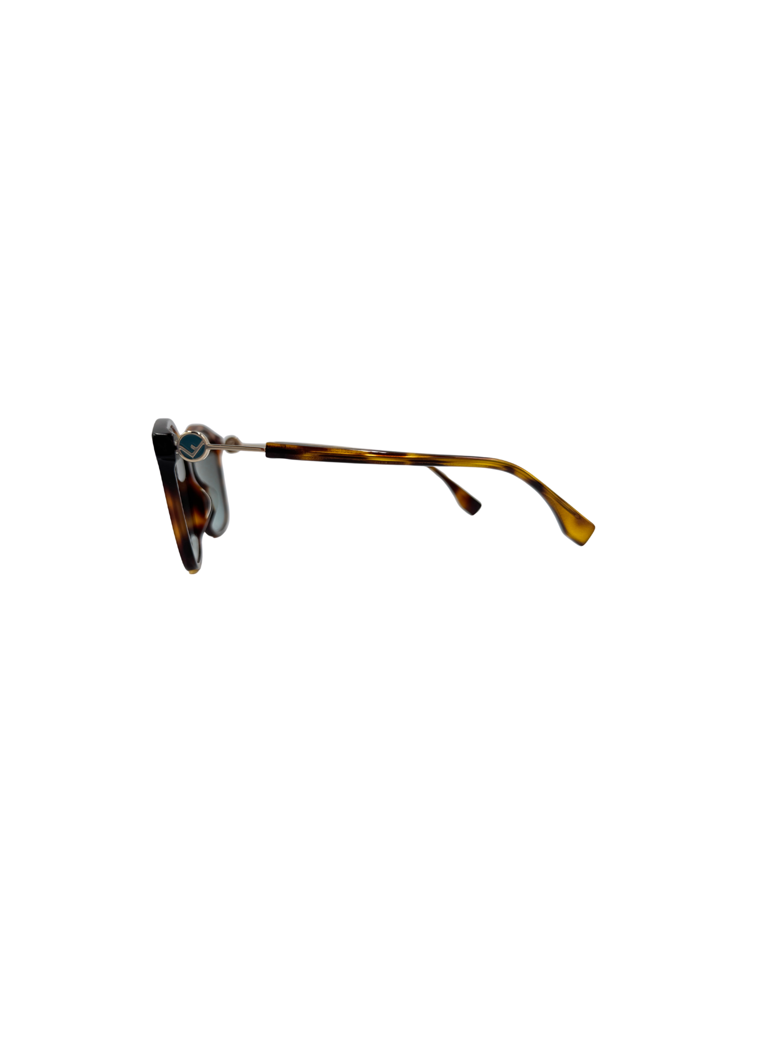 Oversized Logo Sunglasses in Brown Tortoise Acetate
