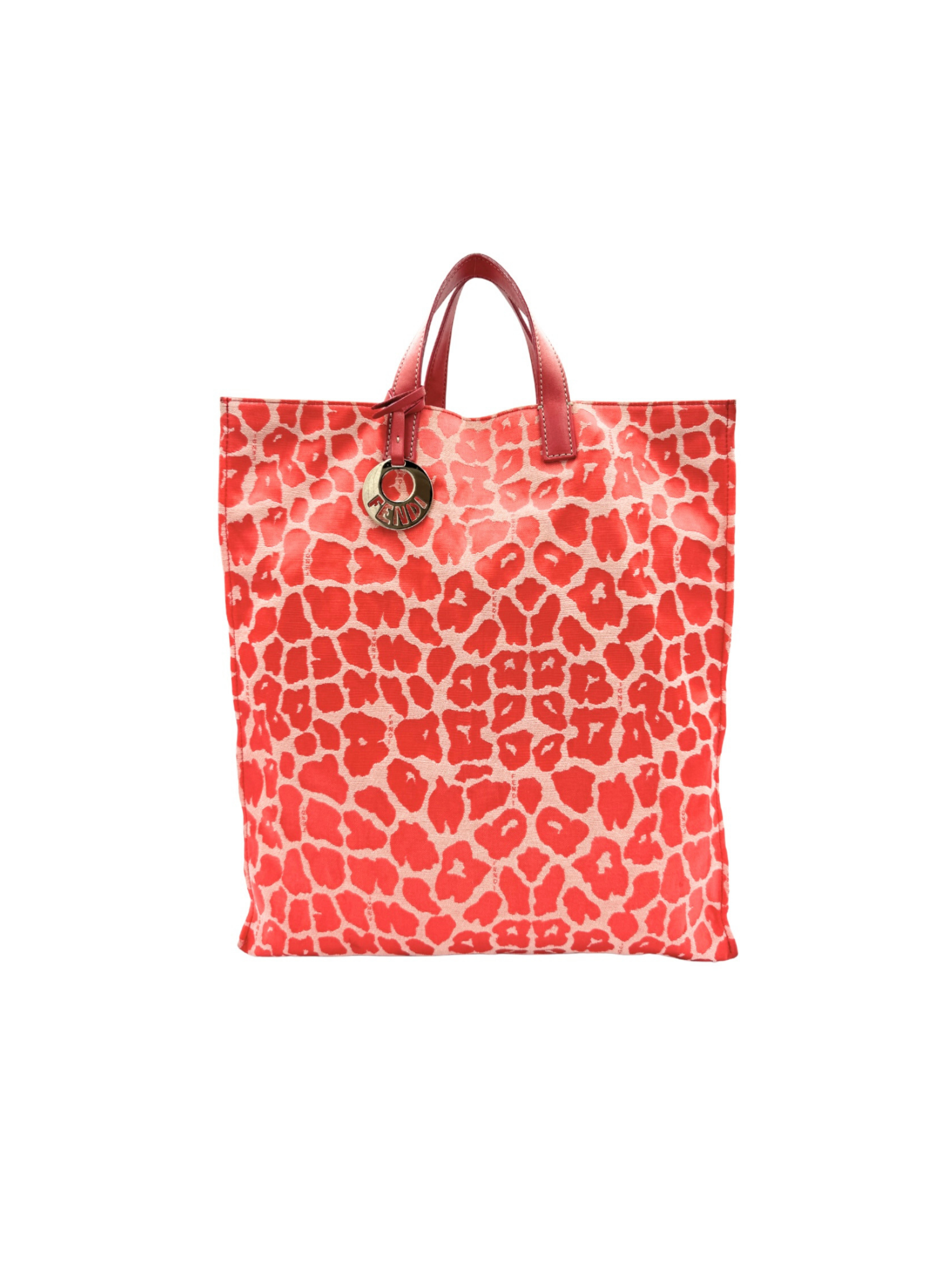 Leopard Print North/South Shopping Tote Bag in Red Embroidered Canvas
