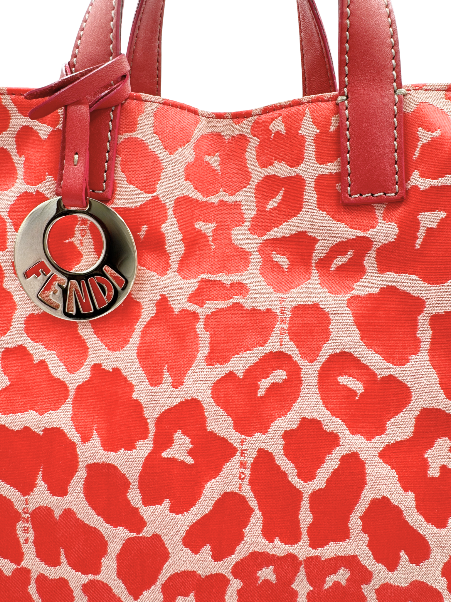 Leopard Print North/South Shopping Tote Bag in Red Embroidered Canvas