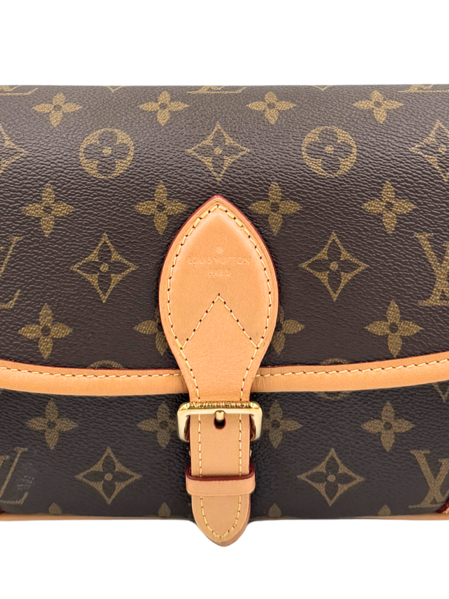 Diana Shoulder Bag in Brown and Tan Monogram Coated Canvas with Tan Leather Accents