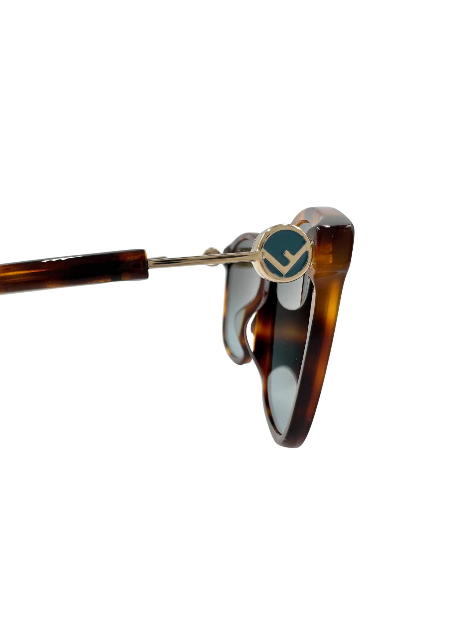 Oversized Logo Sunglasses in Brown Tortoise Acetate