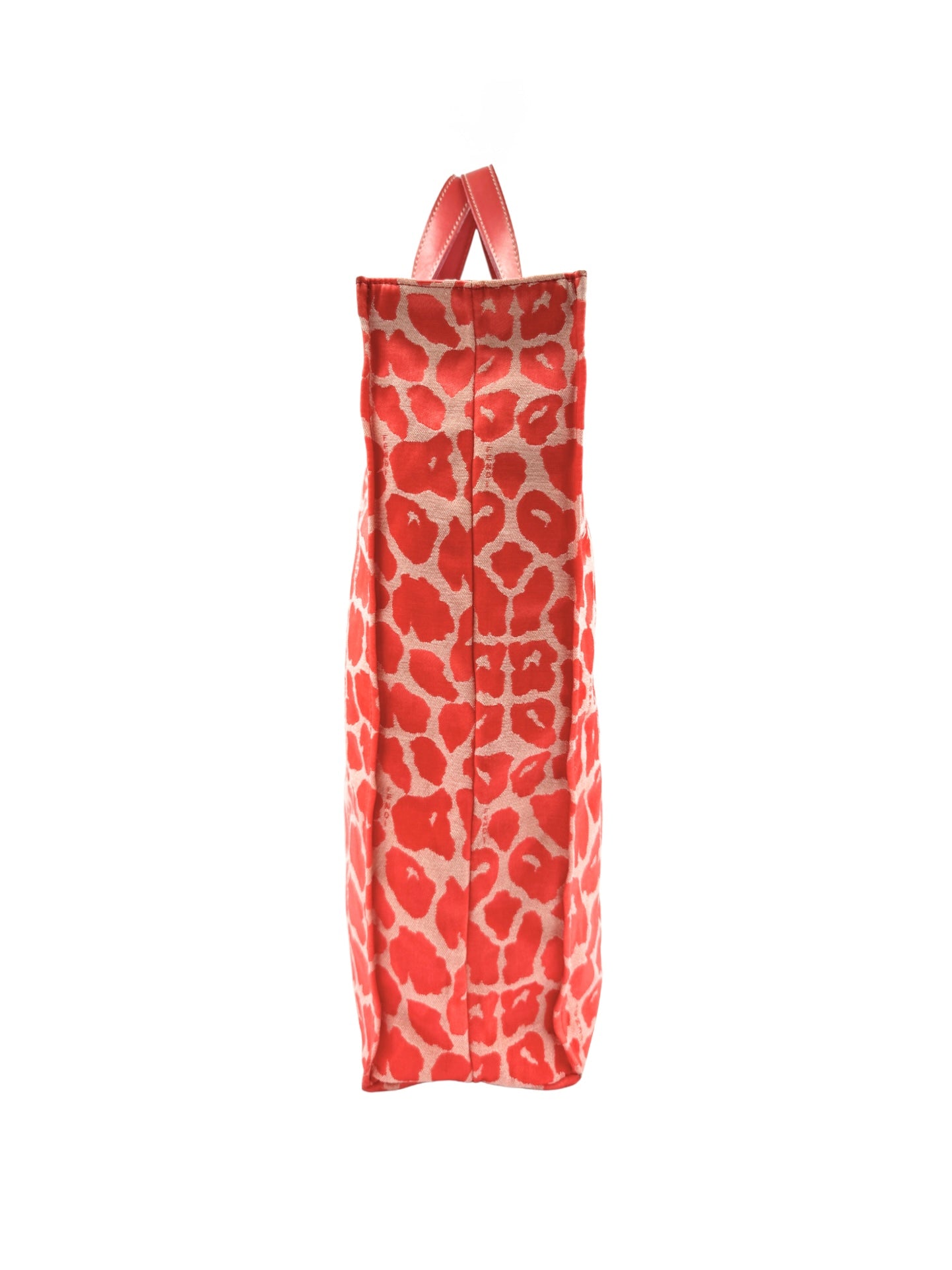 Leopard Print North/South Shopping Tote Bag in Red Embroidered Canvas