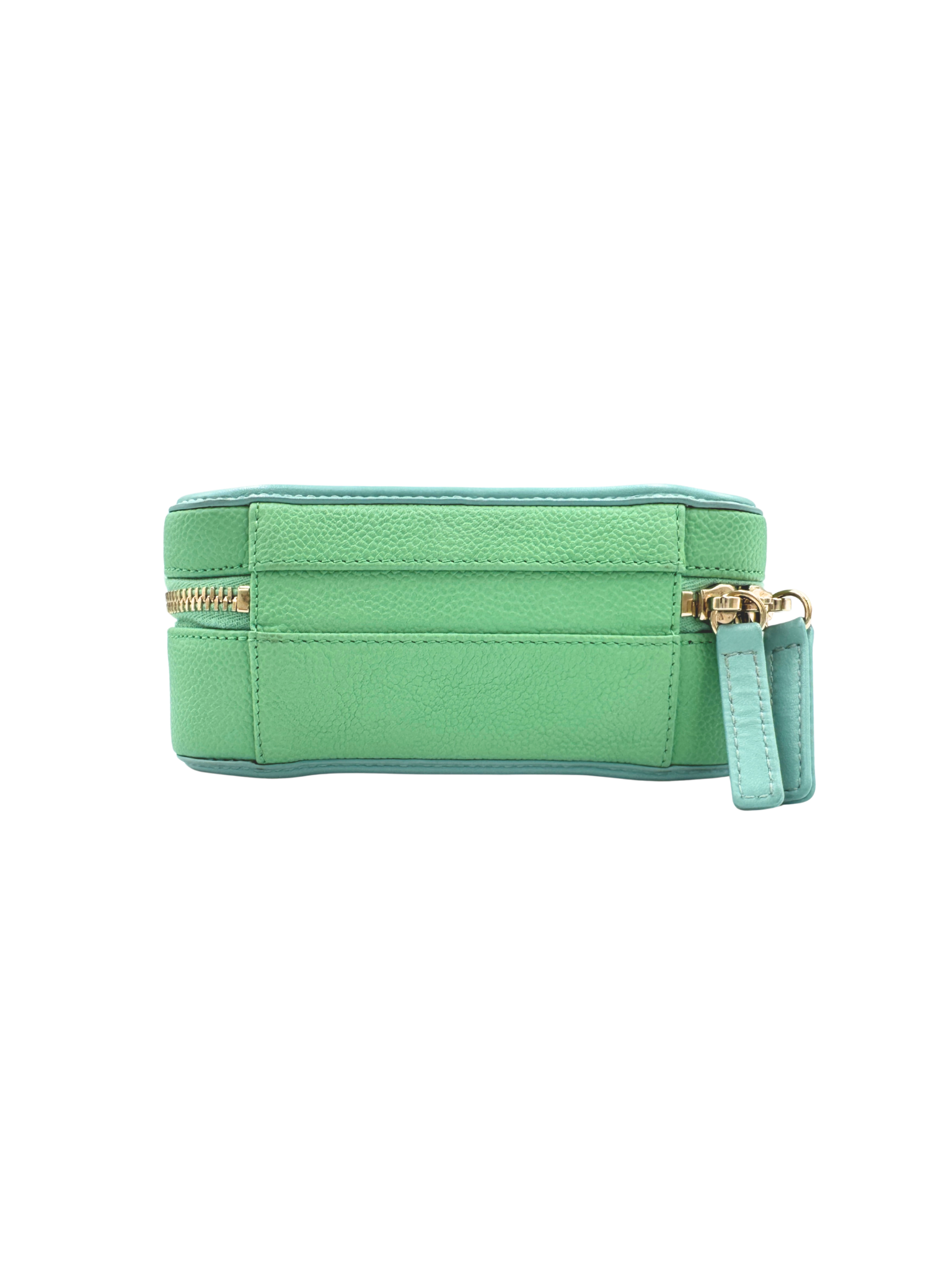 Small Tri-Color CC Classic Quilted Filigree Vanity Case Shoulder Bag in Pink/Green/Blue Caviar Leather